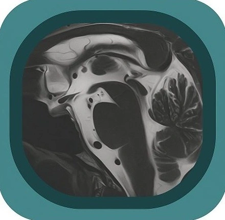 Brainstem & Basal ganglia anatomy icon